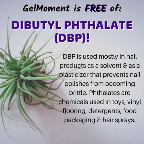 GelMoment - Picture 4 of 16